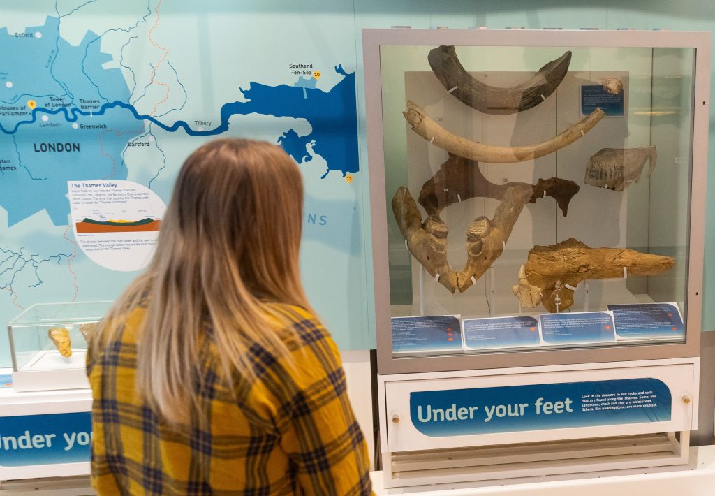 A woman in a yellow checked top stands looking at a display case with the fossilised bones of ancient animals.