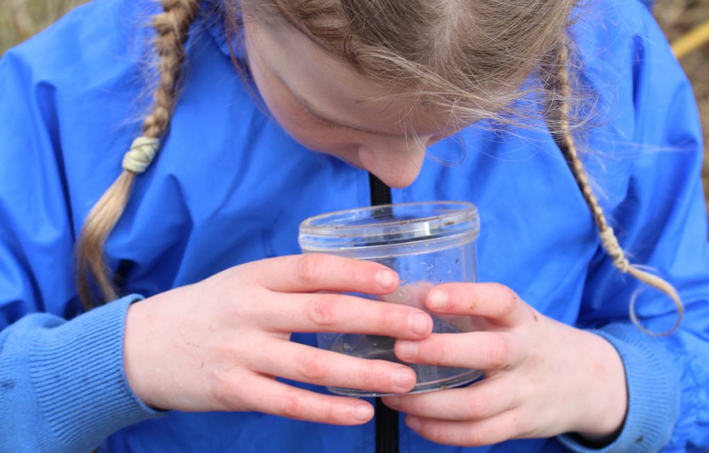 A girl wearing a blue coat looks intently into a clear-plastic insect observation beaker
