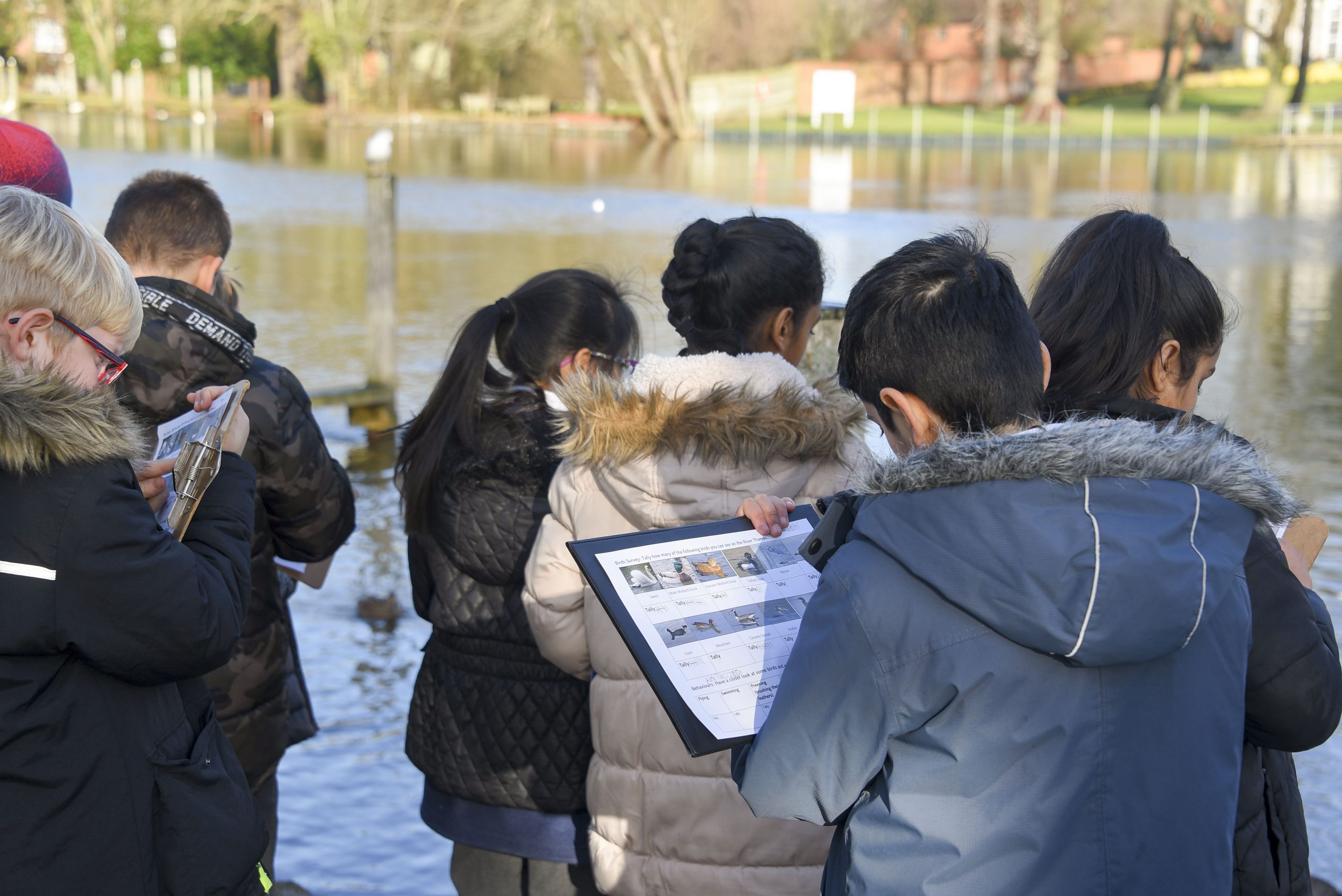 A group of school children stand beside the river, looking for wildlife that is on their worksheet including different types of ducks.